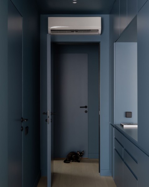 Small bathroom in Belgrade Waterfront Apartment with dark blue finish