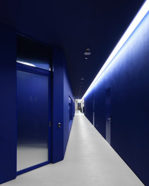 Vertical view of the Gate-X Fitness Club training zone with mirrored surfaces and focused lighting