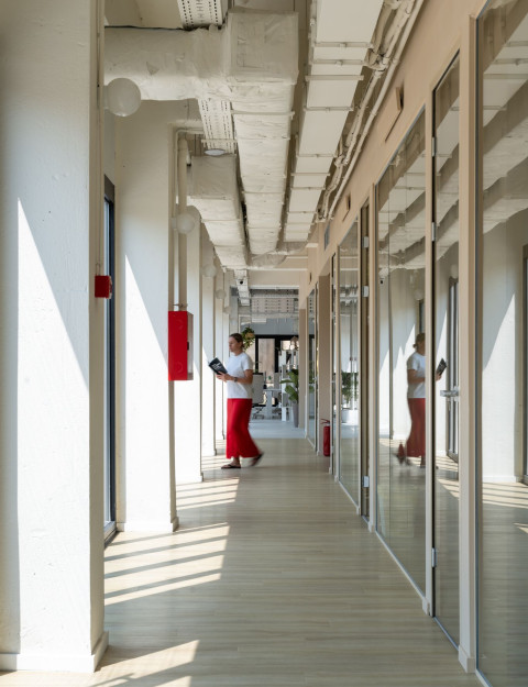 Vertical view of Haos Community Space work area with glass partitions and soft colors