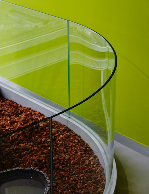 Vertical display niche with greenery and dark terrarium elements in Panteric