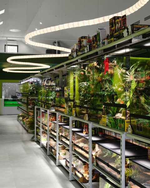 Vertical shelf and plant detail in the Panteric retail interior