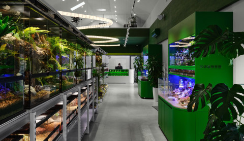 Panteric reptile display room with jungle-inspired interior and dark terrariums