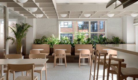 Yandex Office 04