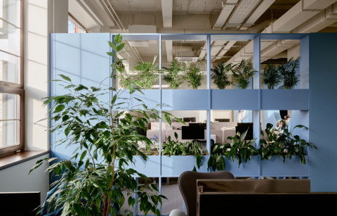 Yandex Office 02 workspace with ergonomic desks, blue partitions and warm timber finishes